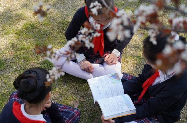 漫画趣味互动等五光十色为校园带来满满的阳光与生机